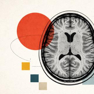 Jusqu’ici, l’IRM avait besoin d’un regard expert pour livrer ses secrets. Une nouvelle étude, menée par le Mass General Brigham de Boston, révèle qu’une IA peut apprendre à lire ces images sans annotation humaine, et en extraire des informations médicales clés. © XD avec ChatGPT